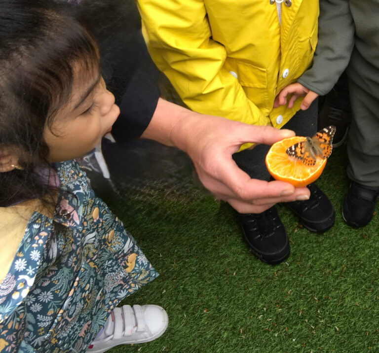 Clapham Park Montessori Image