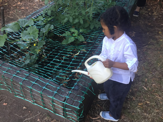 Clapham Montessori Garden 1444