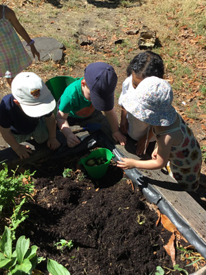 Clapham Montessori Garden 1462