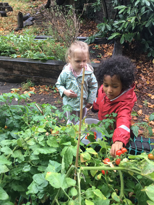 Clapham Montessori Garden 1700